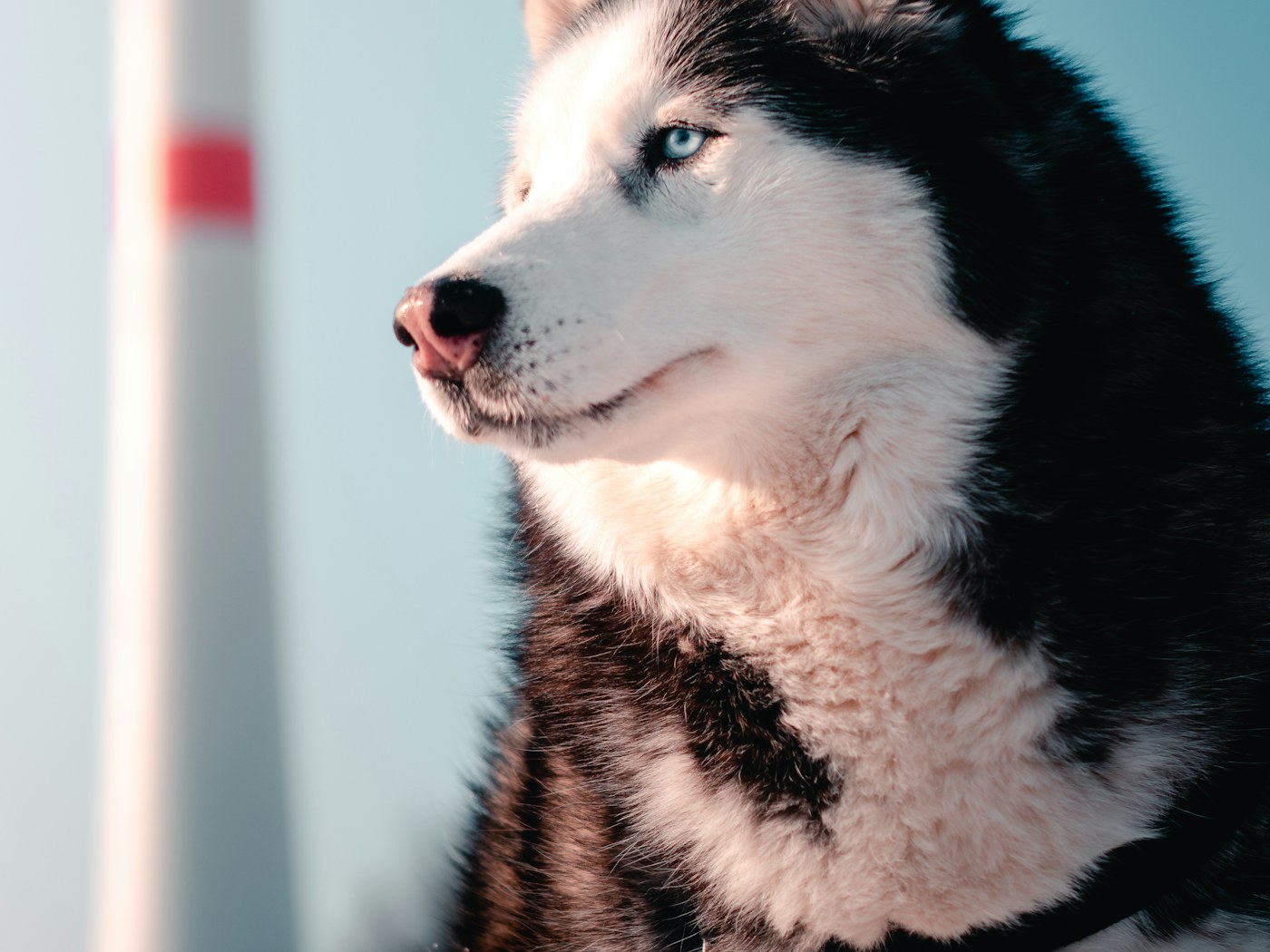 Норд — фотография 3